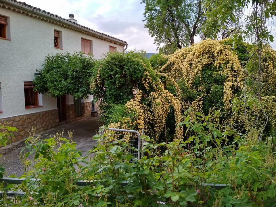 Mesoncillo Neo Villa Hornos Exterior foto