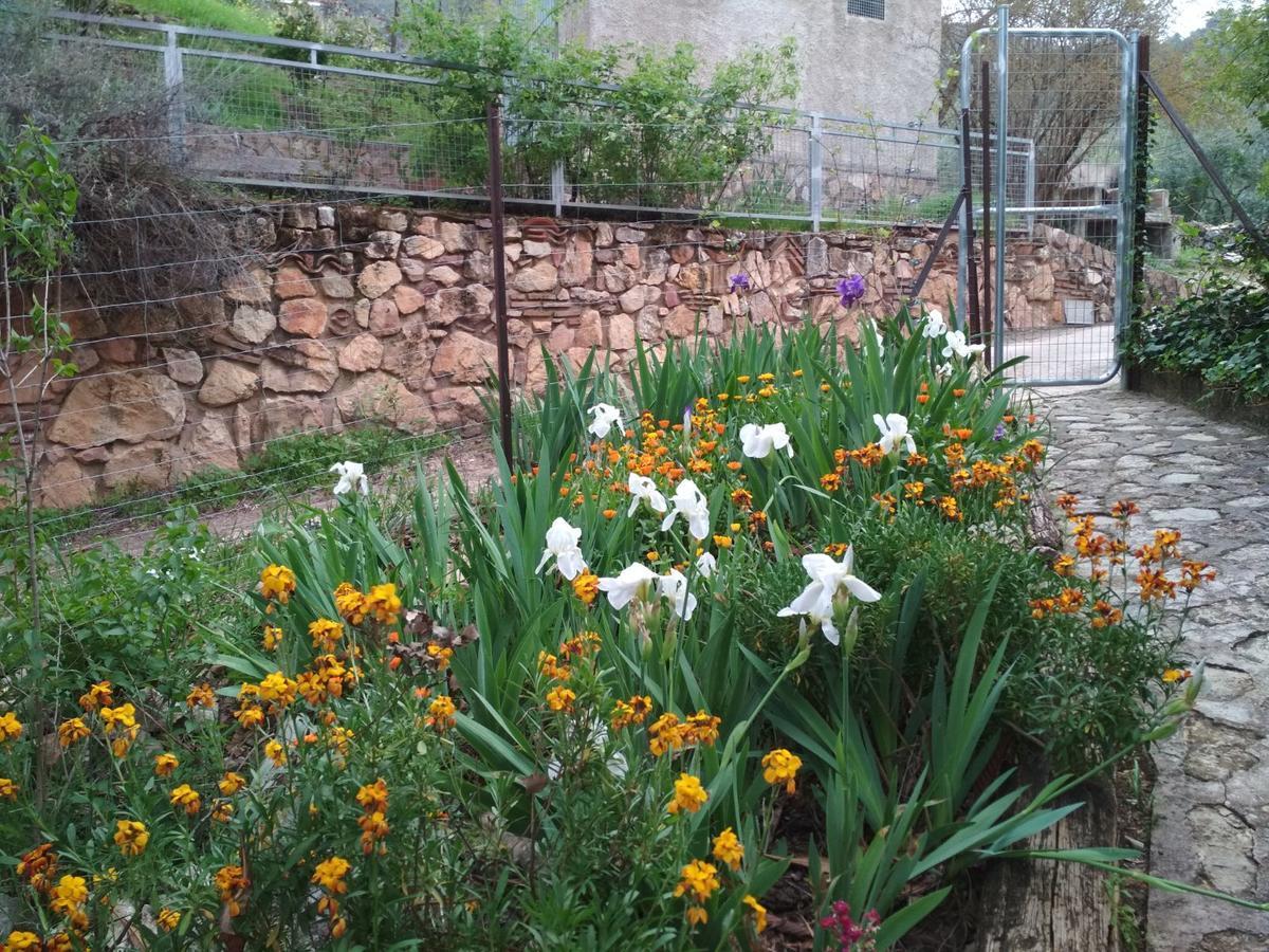 Mesoncillo Neo Villa Hornos Exterior foto