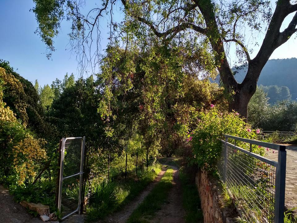 Mesoncillo Neo Villa Hornos Exterior foto